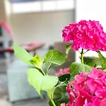 Marku Palace Appartamento Ksamil