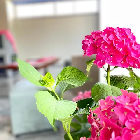 Marku Palace Appartement Ksamil